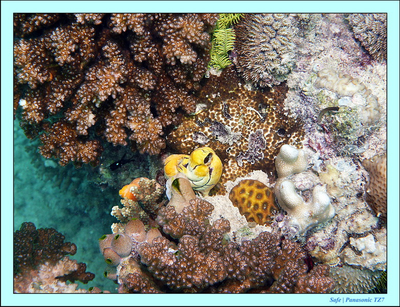 2011 - 08 - Bohey Dulang Island 14